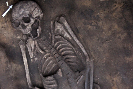 Археологи обнаружили в Омске артефакты 3000-летней давности Археологи обнаружили в Омске артефакты 3000-летней давности