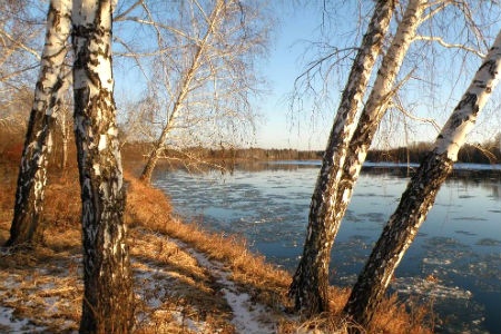 МЧС предупреждает иркутян об усилении ветра до 30 м/с и снеге МЧС предупреждает иркутян об усилении ветра до 30 м/с и снеге