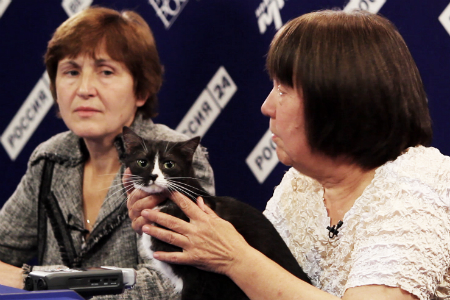 Зоозащитники: 80% пойманных бездомных животных в Новосибирске уничтожается (видео)