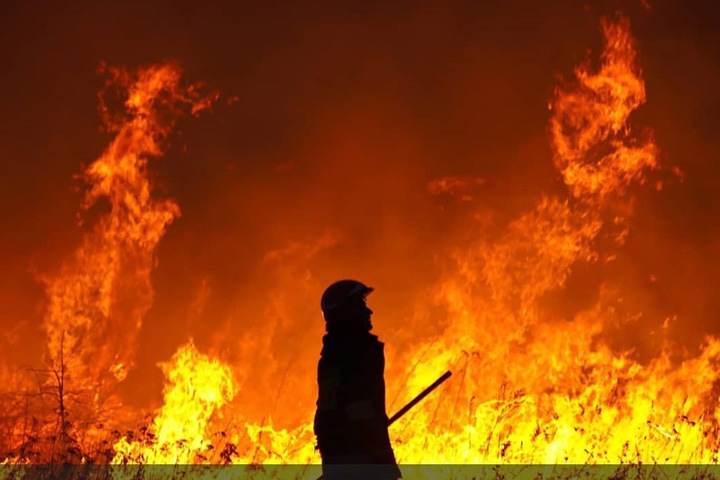 Сотни тысяч россиян просят потушить пожары в Сибири Сотни тысяч россиян просят потушить пожары в Сибири