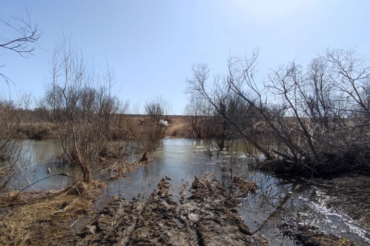 Новосибирская школьница утонула из-за плиты, которую использовали как мост