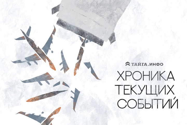 Хроника текущих событий. Экономика, общество, политика. Выпуск 516