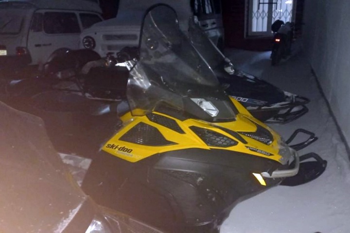 Расстрелявших лосей браконьеров задержали под Новосибирском