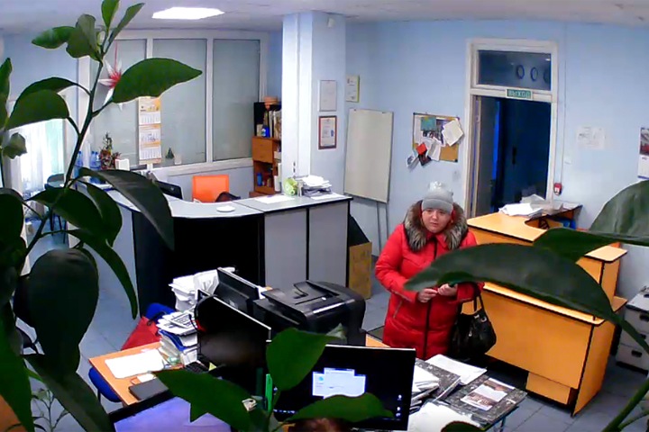 Женщина собирает деньги в Новосибирске на корм животным, прикрываясь благотворительным фондом Женщина собирает деньги в Новосибирске на корм животным, прикрываясь благотворительным фондом