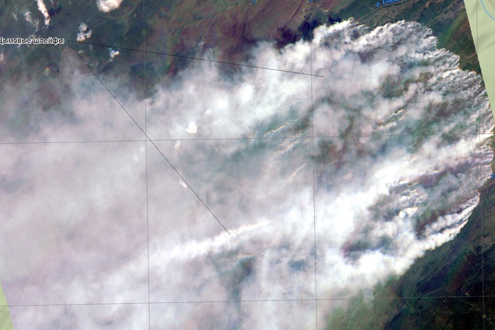Режим «черного неба» ввели в Западной Сибири