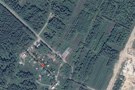 Участок лесного питомника в Новосибирске был согласован под строительство дач еще в 2012 году Участок лесного питомника в Новосибирске был согласован под строительство дач еще в 2012 году