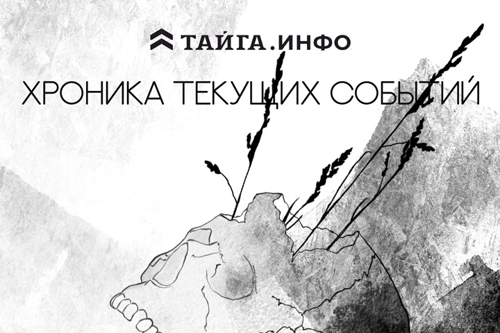 Хроника текущих событий. Экономика, общество, политика. Выпуск 250