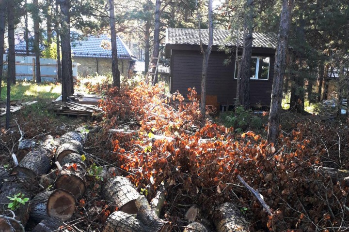 Бердские латифундисты. Эпизод 3, прокурорский Бердские латифундисты. Эпизод 3, прокурорский