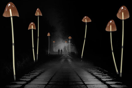 Жители Канска захотели построить в городе фонари-грибы и фонтан-герб Жители Канска захотели построить в городе фонари-грибы и фонтан-герб