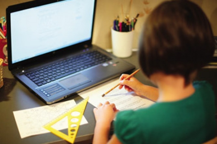 Особенности использования готовых домашних заданий Особенности использования готовых домашних заданий