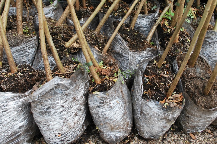 Интернет-магазин Весна-осень – что можно купить здесь