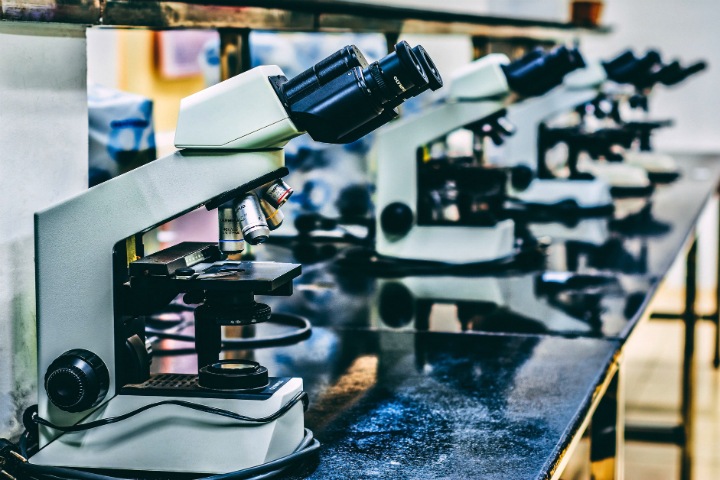 Светящиеся бактерии помогли сибирским ученым измерить токсичность наноматериалов Светящиеся бактерии помогли сибирским ученым измерить токсичность наноматериалов