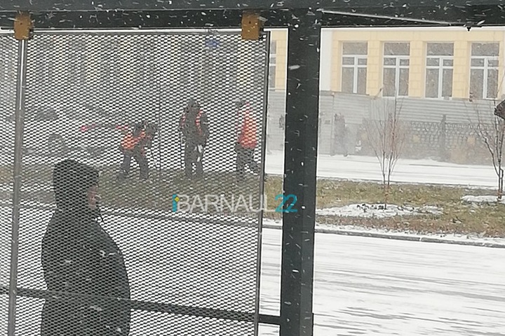 Деревья начали высаживать в Барнауле в -15 к приезду Медведева Деревья начали высаживать в Барнауле в -15 к приезду Медведева