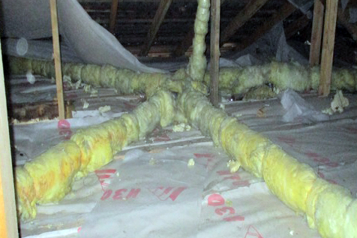 Новосибирское жилье для переселенцев из аварийных домов сравнили со свинарниками Новосибирское жилье для переселенцев из аварийных домов сравнили со свинарниками