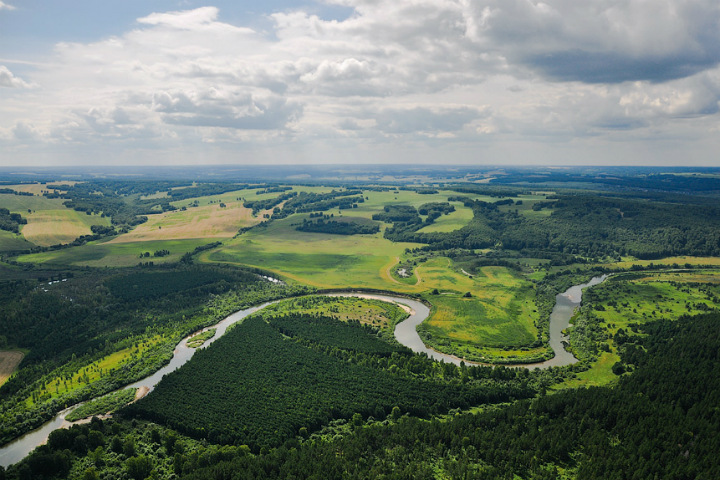 Автор скандальной эмблемы юбилея Новосибирской области обвинил власти в плагиате Автор скандальной эмблемы юбилея Новосибирской области обвинил власти в плагиате