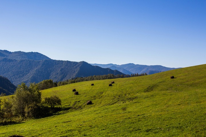Алтай остался самым популярным местом отдыха новосибирцев