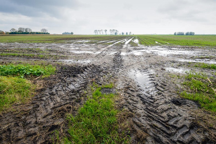 Уборочную кампанию остановили в Хакасии. Она выполнена менее чем на 70%
