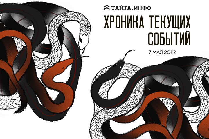 Хроника текущих событий. Экономика, общество, политика. Выпуск 64