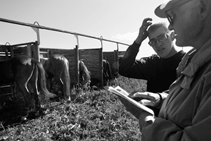 Новосибирский губернатор подарил «Газель» победителям конных скачек Новосибирский губернатор подарил «Газель» победителям конных скачек