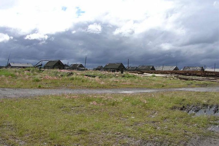 17-летнюю девушку загрызли собаки в Красноярском крае 17-летнюю девушку загрызли собаки в Красноярском крае