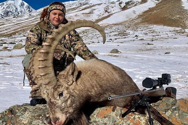 Охотница опубликовала жестокие кадры убийства козерога на Алтае Охотница опубликовала жестокие кадры убийства козерога на Алтае