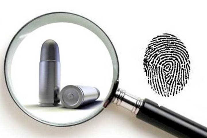 Судебная экспертиза и ее значение