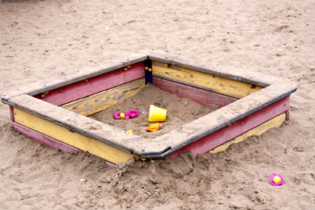 Ветка дерева упала на семерых детей в Омске, один госпитализирован 