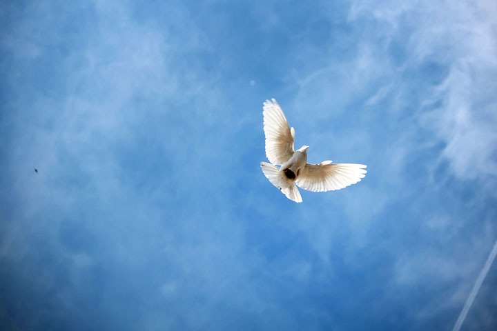 Омского ветерана войны убили накануне Дня Победы