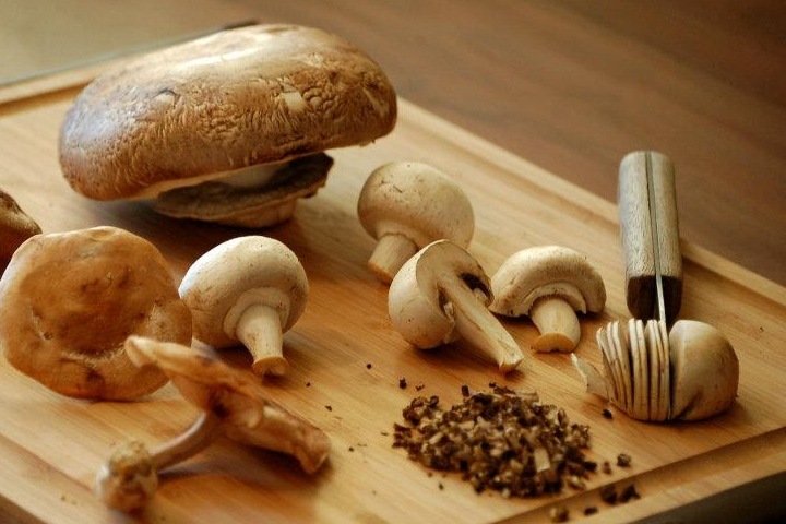 Полезные свойства грибов Полезные свойства грибов