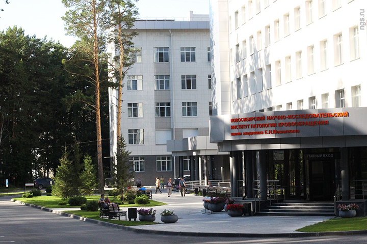 Инвесторы биомедицинского парка «Зеленая долина» готовы уйти из Новосибирской области Инвесторы биомедицинского парка «Зеленая долина» готовы уйти из Новосибирской области