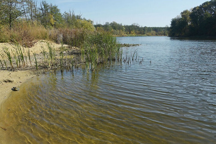 Жительница Алтайского края пыталась утопить сына из-за упавшего в воду мобильного телефона Жительница Алтайского края пыталась утопить сына из-за упавшего в воду мобильного телефона