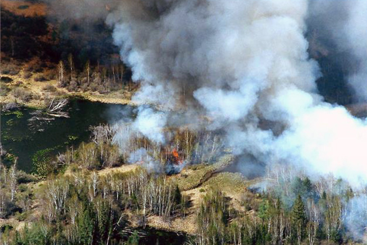 Замминистра МЧС заявил о «генетической» склонности сибиряков к весенним палам