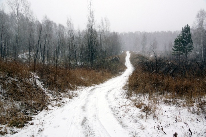 Новосибирский район вернет землю под Восточный обход