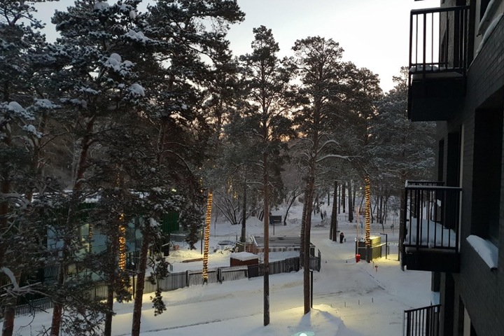 Власти настаивают на присвоении Заельцовскому бору «регионального» статуса Власти настаивают на присвоении Заельцовскому бору «регионального» статуса