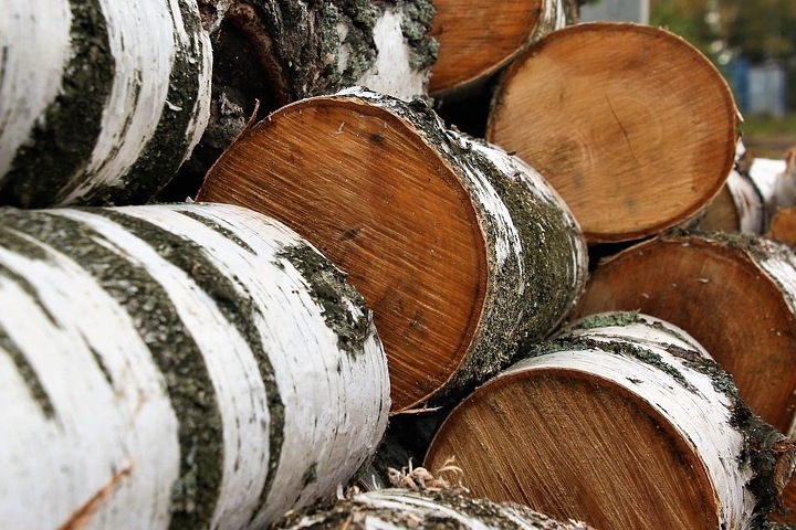 Дело забившего поленом своего знакомого жителя Хакасии дошло до суда Дело забившего поленом своего знакомого жителя Хакасии дошло до суда