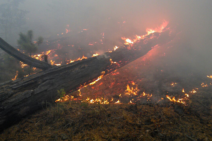 Иркутские добровольцы вновь собирают отряд для тушения пожаров