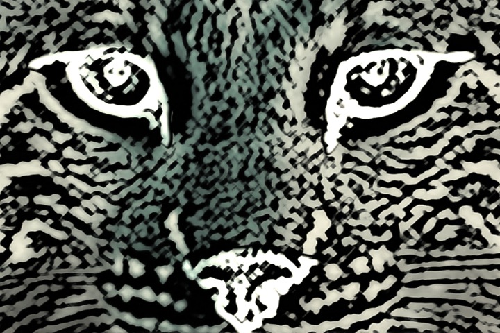 «Политические обязательства не живут больше полугода»: Тайга.взгляд об отставке Толоконского и последствиях