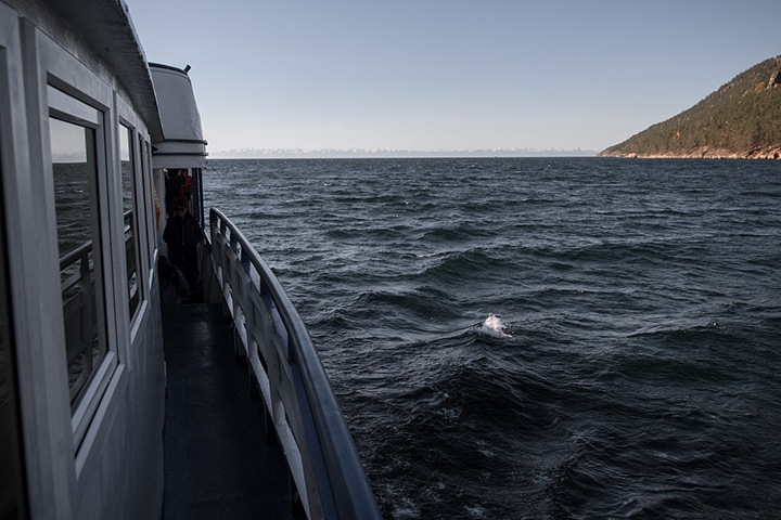 Связанная с экс-губернатором Иркутской области фирма накормила европейских послов и покатала их по Байкалу за 0,5 млн Связанная с экс-губернатором Иркутской области фирма накормила европейских послов и покатала их по Байкалу за 0,5 млн