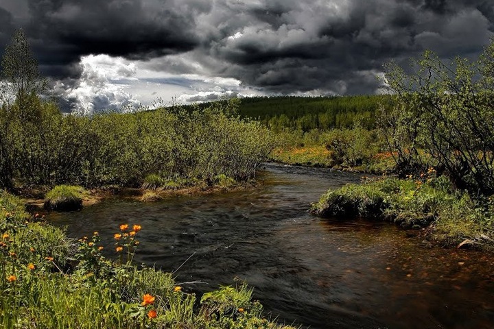 Обвинившую следователя в давлении красноярку нашли мертвой в лесу Обвинившую следователя в давлении красноярку нашли мертвой в лесу