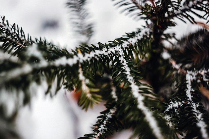 Как биоразлагаемые пакеты влияют на почву. Ученые будут проверять это два года