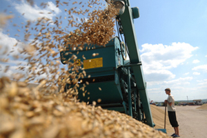 НСЗ предложил сохранить льготный тариф на перевозку зерна из Сибири и Дальнего Востока