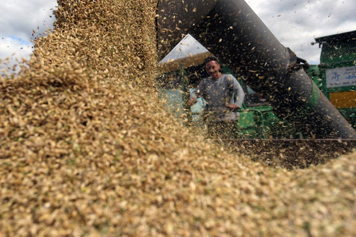 Новосибирские власти предложили заморозить цены на аренду вагонов для зерна