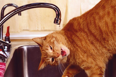 Режим ЧС введен в алтайском Змеиногорске из-за отравления водой из-под крана 