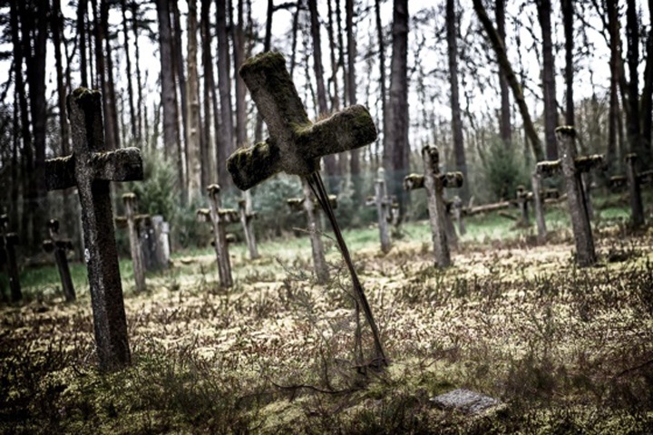 Иркутяне незаконно приторговывали землей под могилы