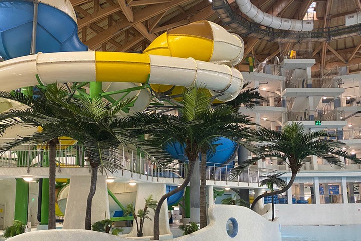 Систему QR-кодов вводят в аквапарке и зоопарке Новосибирска Систему QR-кодов вводят в аквапарке и зоопарке Новосибирска