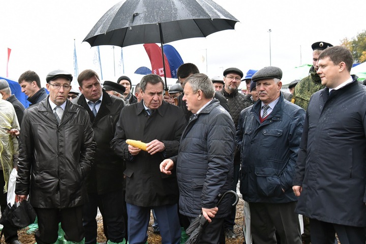 День поля показал достижения Новосибирской области в кормозаготовке День поля показал достижения Новосибирской области в кормозаготовке