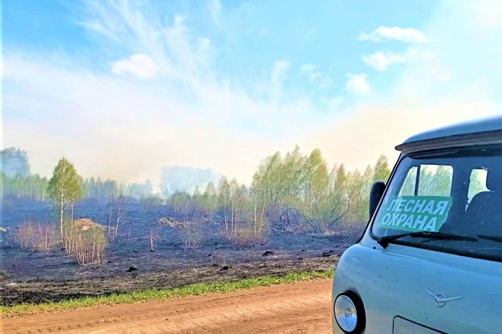 Тысячи гектаров загорелись в Новосибирской области
