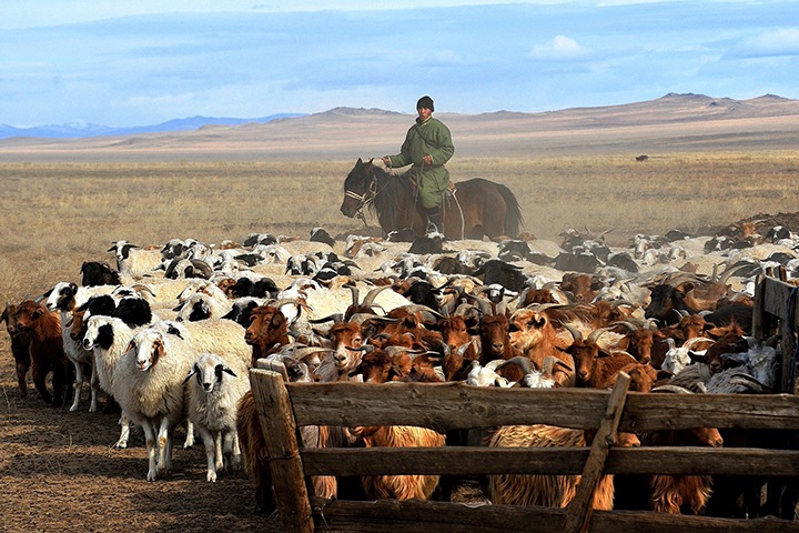 Какие регионы Сибири стали лидерами по безработице. Почти четверть тувинцев без трудоустройства