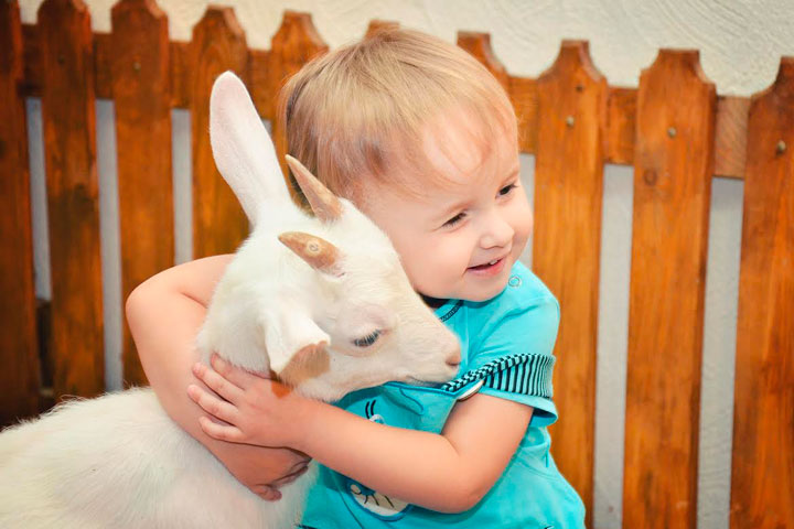 Сироты и дети-инвалиды в Новосибирске бесплатно посетят контактный зоопарк