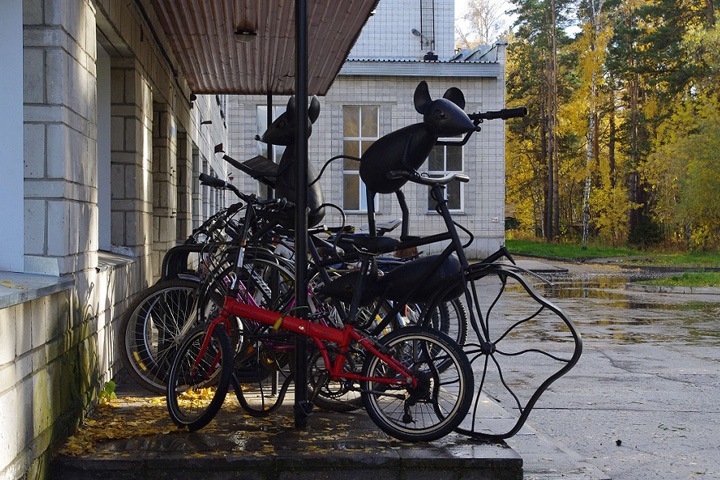 ФМШ НГУ собирает деньги для содержания учащихся ФМШ НГУ собирает деньги для содержания учащихся